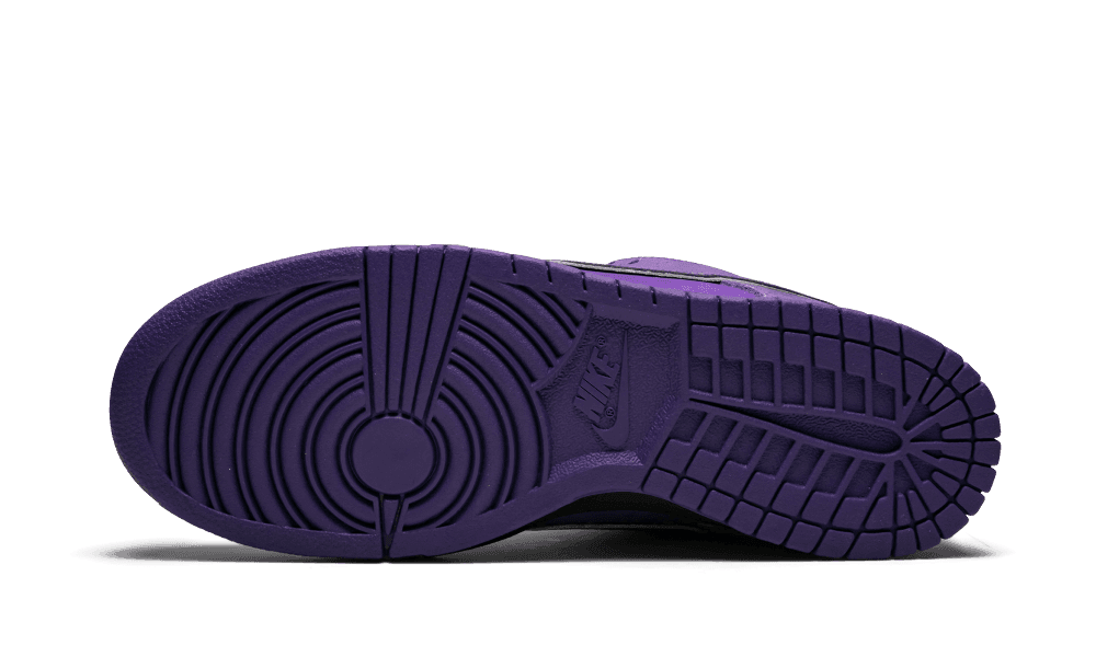 Nike SB Dunk Purple Lobster